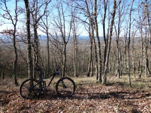 giant trance 2 27.5 2015