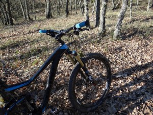 giant trance 2 27.5 2015