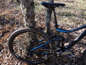 giant trance 2 27.5 2015