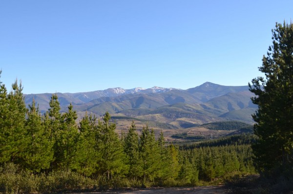 Monte Pajariel Ponferrada